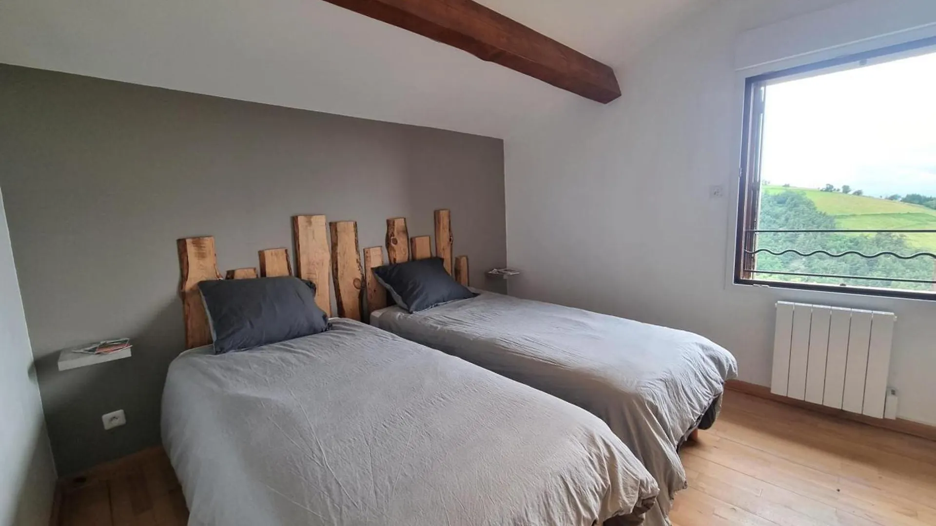 Gite Renove Avec Terrasse Panoramique Et Tout Confort A Saint-Chamond, Proche Saint-Etienne Et Lyon - Fr-1-496-324 0*, סן-שאמון צרפת